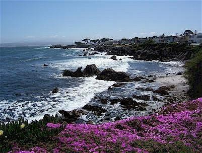 Monterey Peninsula Inn Pacific Grove Extérieur photo